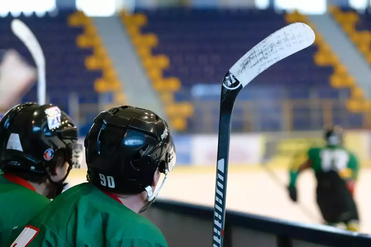 All you need to Know about Ice Hockey Sticks